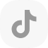 TikTok Login Icon