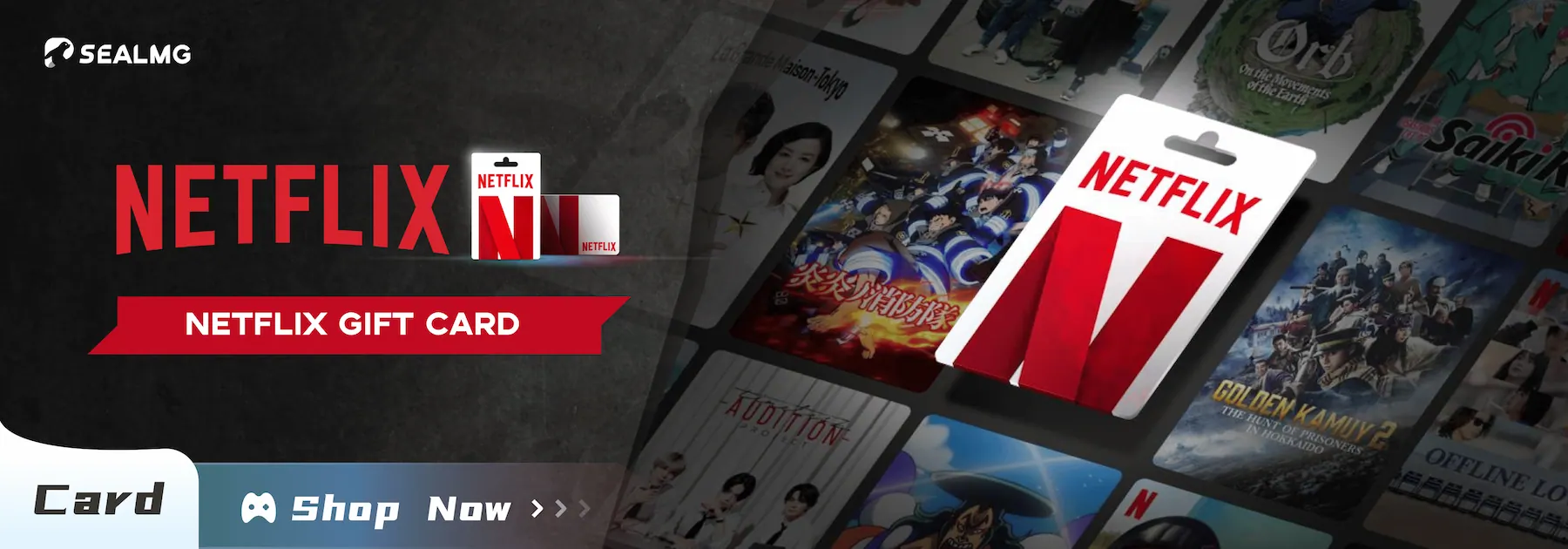 netflix gift card turkey