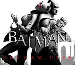 Batman Arkham City Steam Kay Gotha