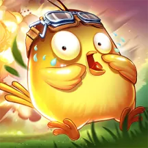 3 Chicken Coins